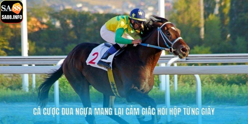 Cá cược đua ngựa mang lại cảm giác hồi hộp từng giây