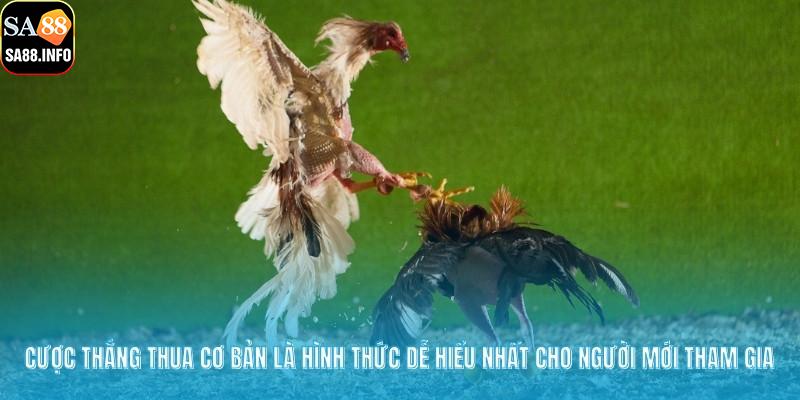 Cược thắng thua cơ bản là hình thức dễ hiểu nhất cho người mới tham gia