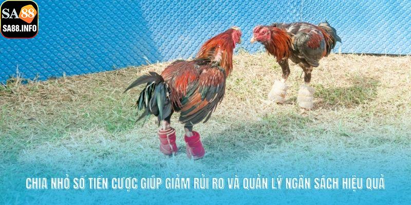 Chia nhỏ số tiền cược giúp giảm rủi ro và quản lý ngân sách hiệu quả